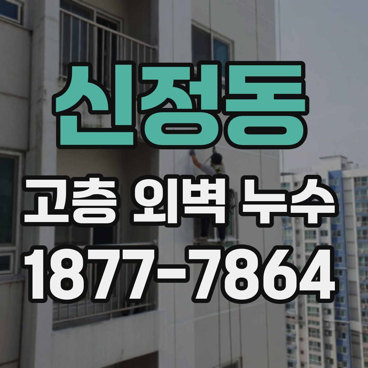 신정동 고층 외벽 누수
