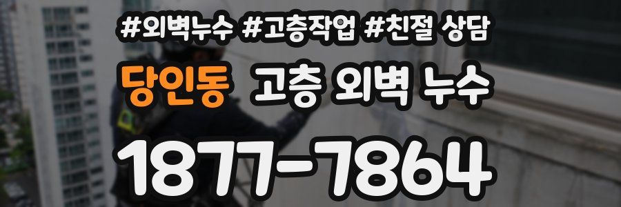 당인동 고층 외벽 누수