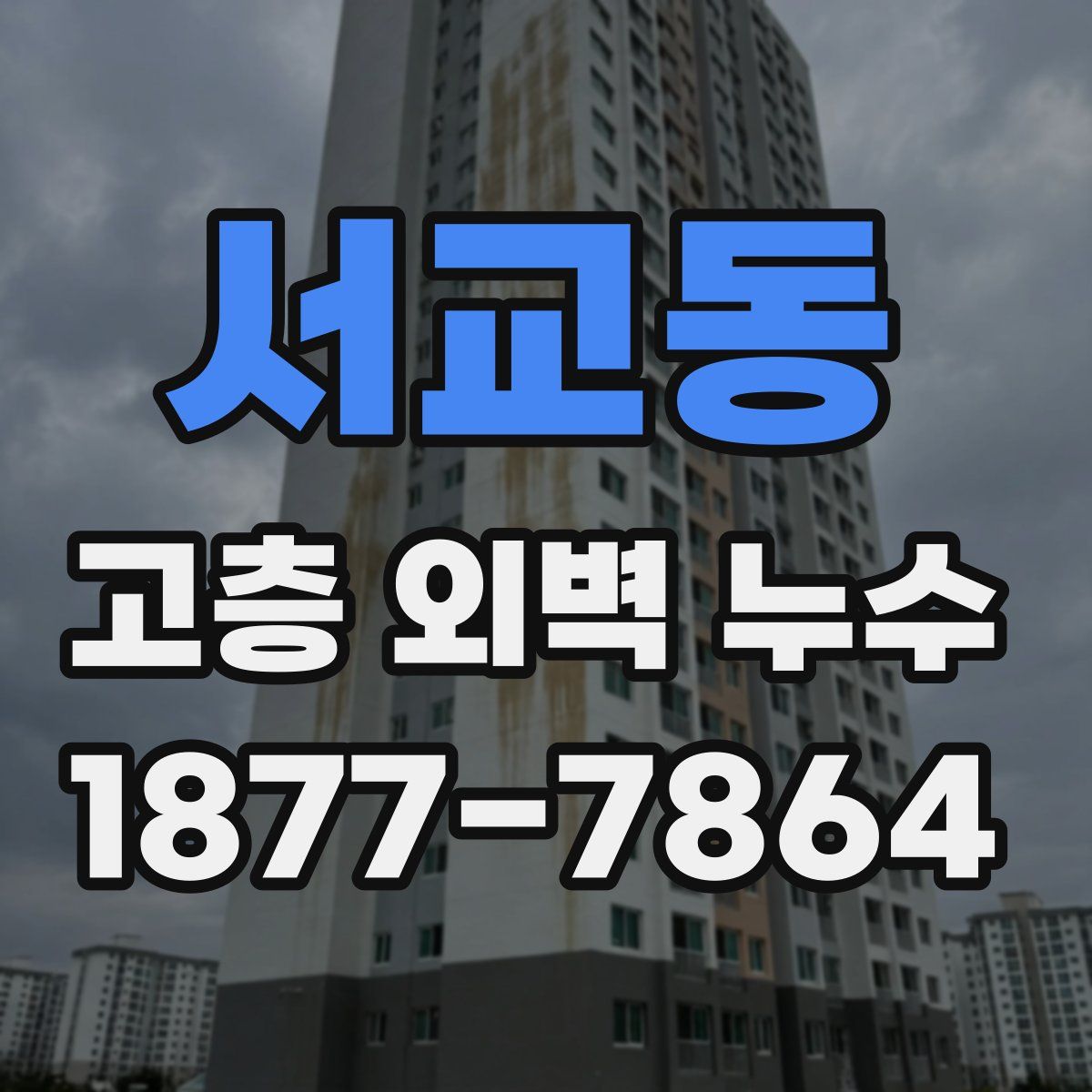 서교동 고층 외벽 누수