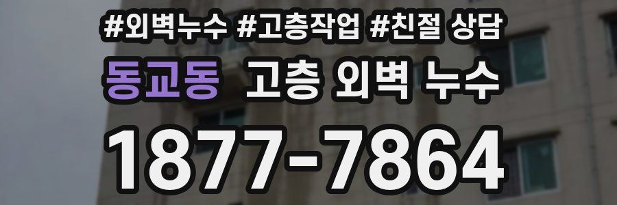 동교동 고층 외벽 누수