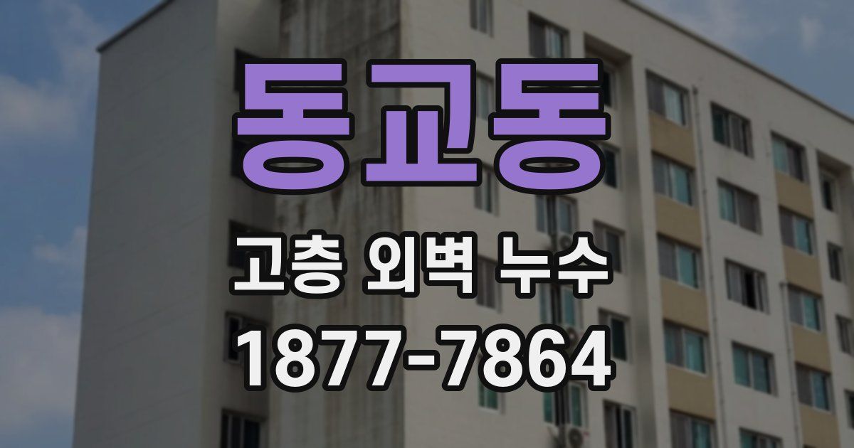 동교동 고층 외벽 누수