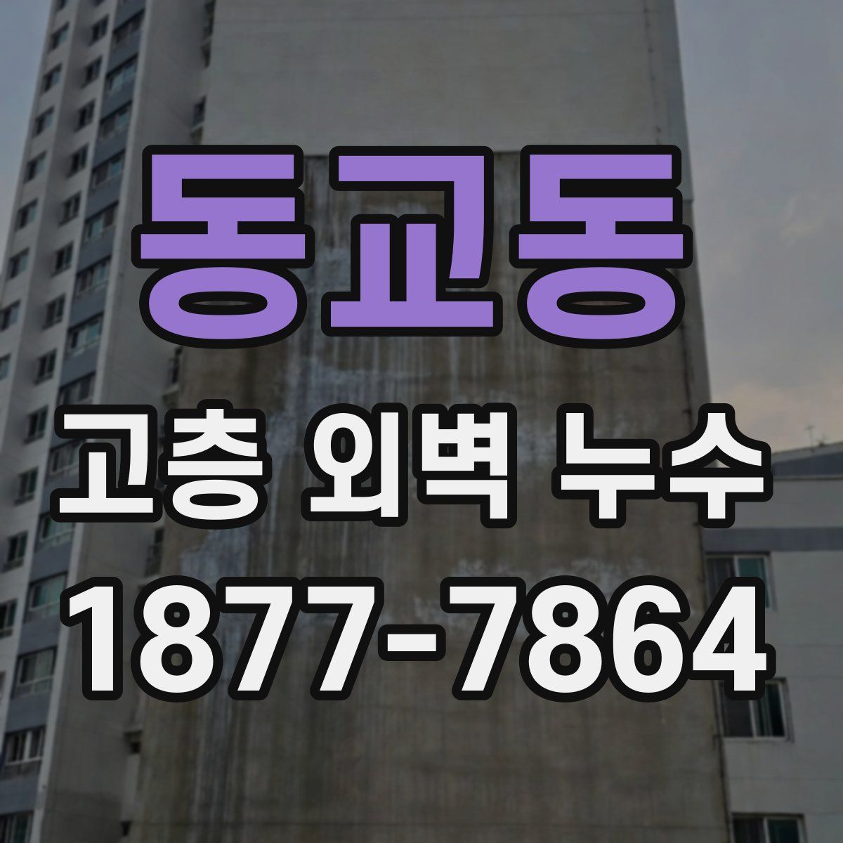 동교동 고층 외벽 누수