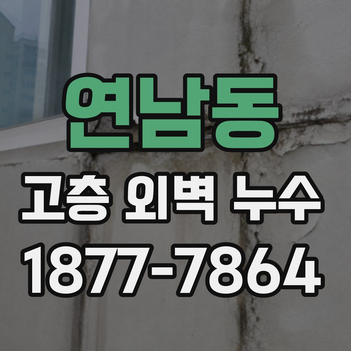 연남동 고층 외벽 누수