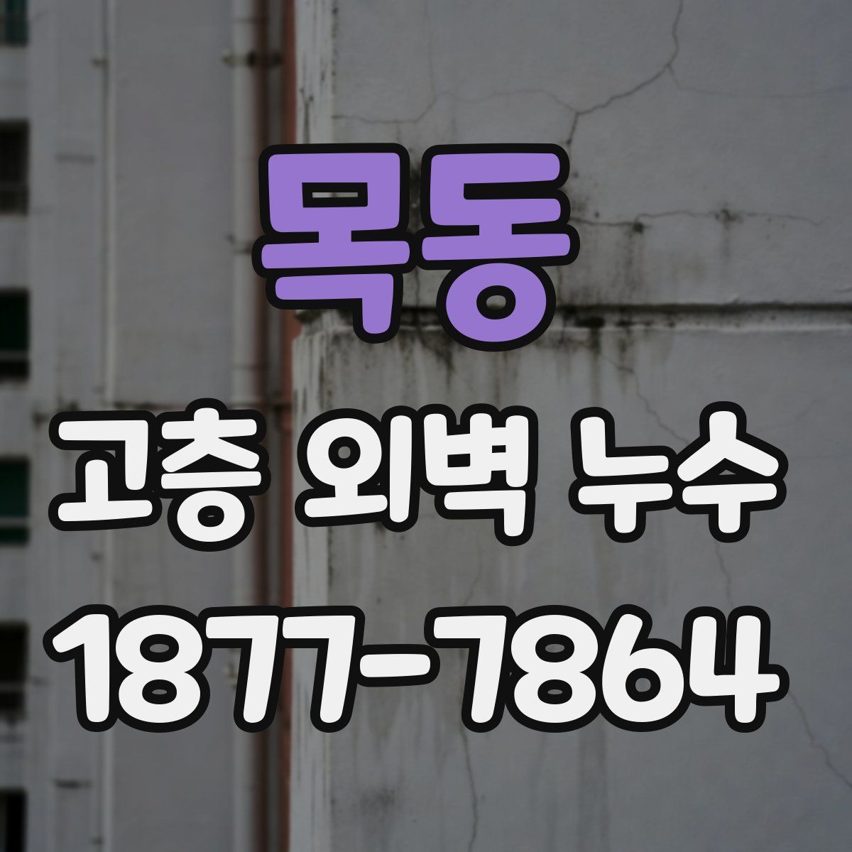 목동 고층 외벽 누수