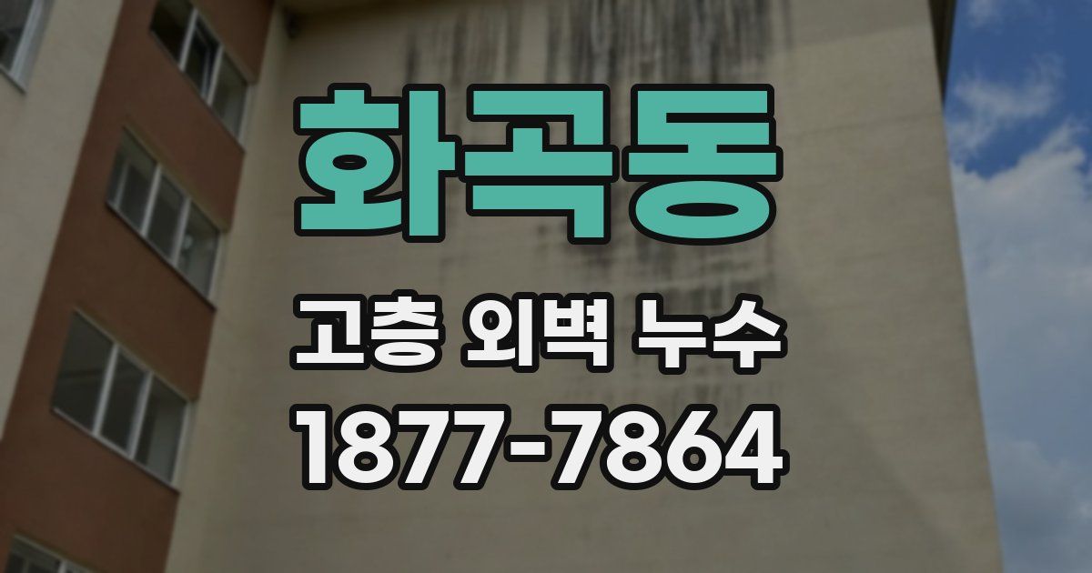 화곡동 고층 외벽 누수