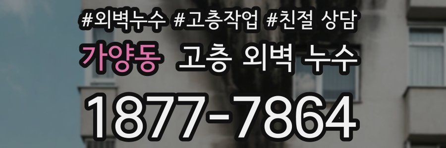 가양동 고층 외벽 누수