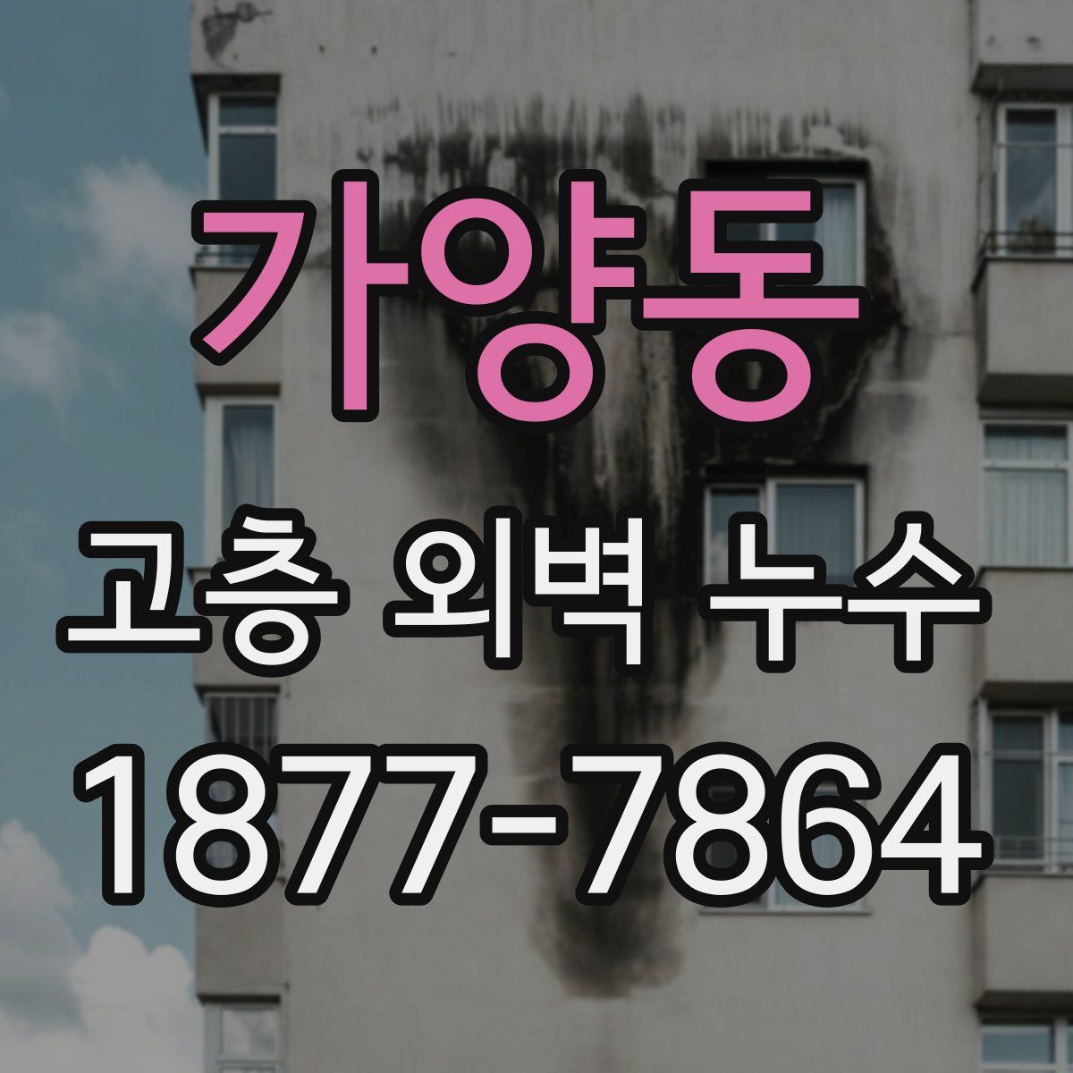 가양동 고층 외벽 누수