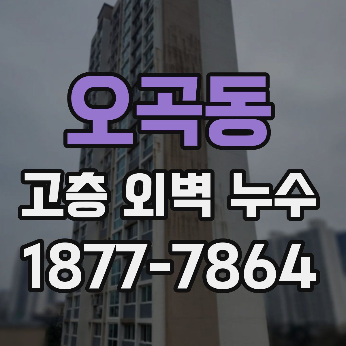 오곡동 고층 외벽 누수
