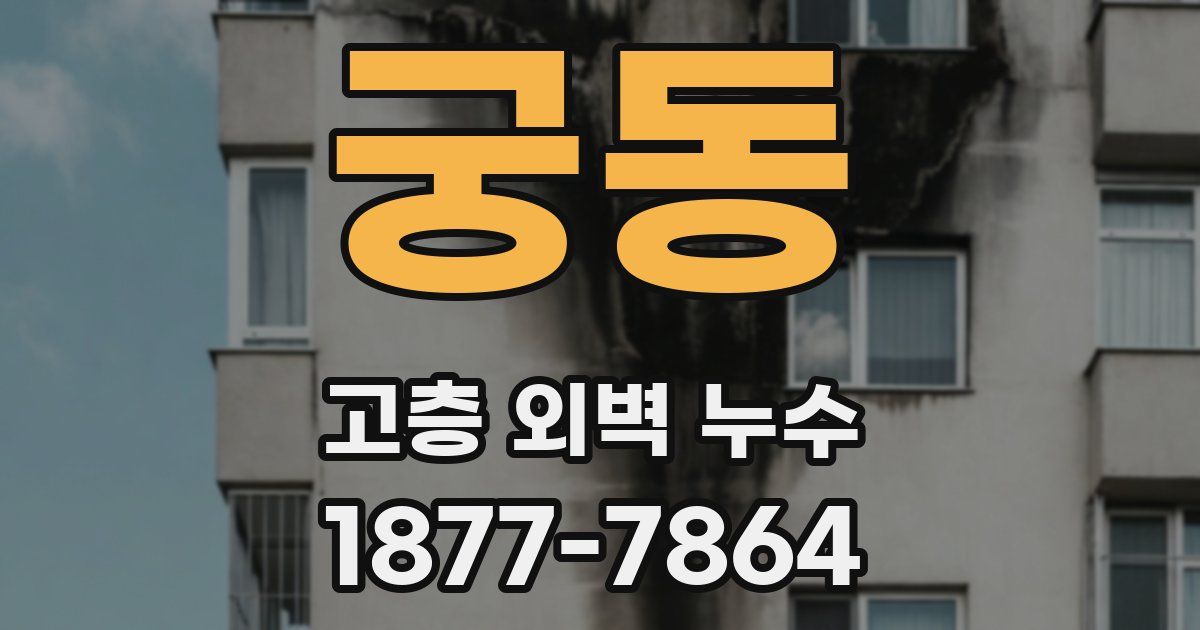궁동 고층 외벽 누수