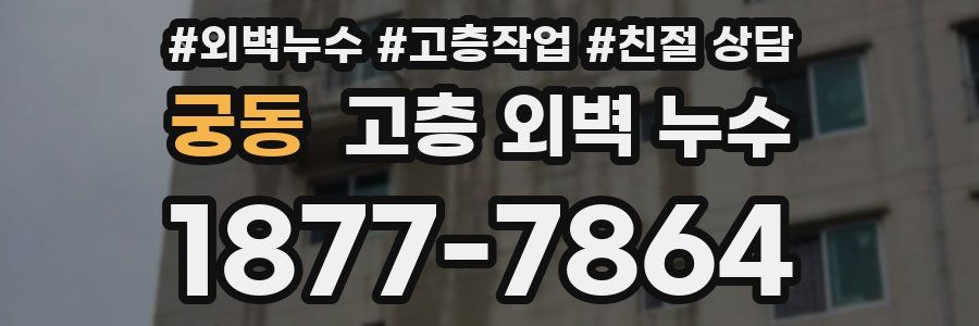 궁동 고층 외벽 누수