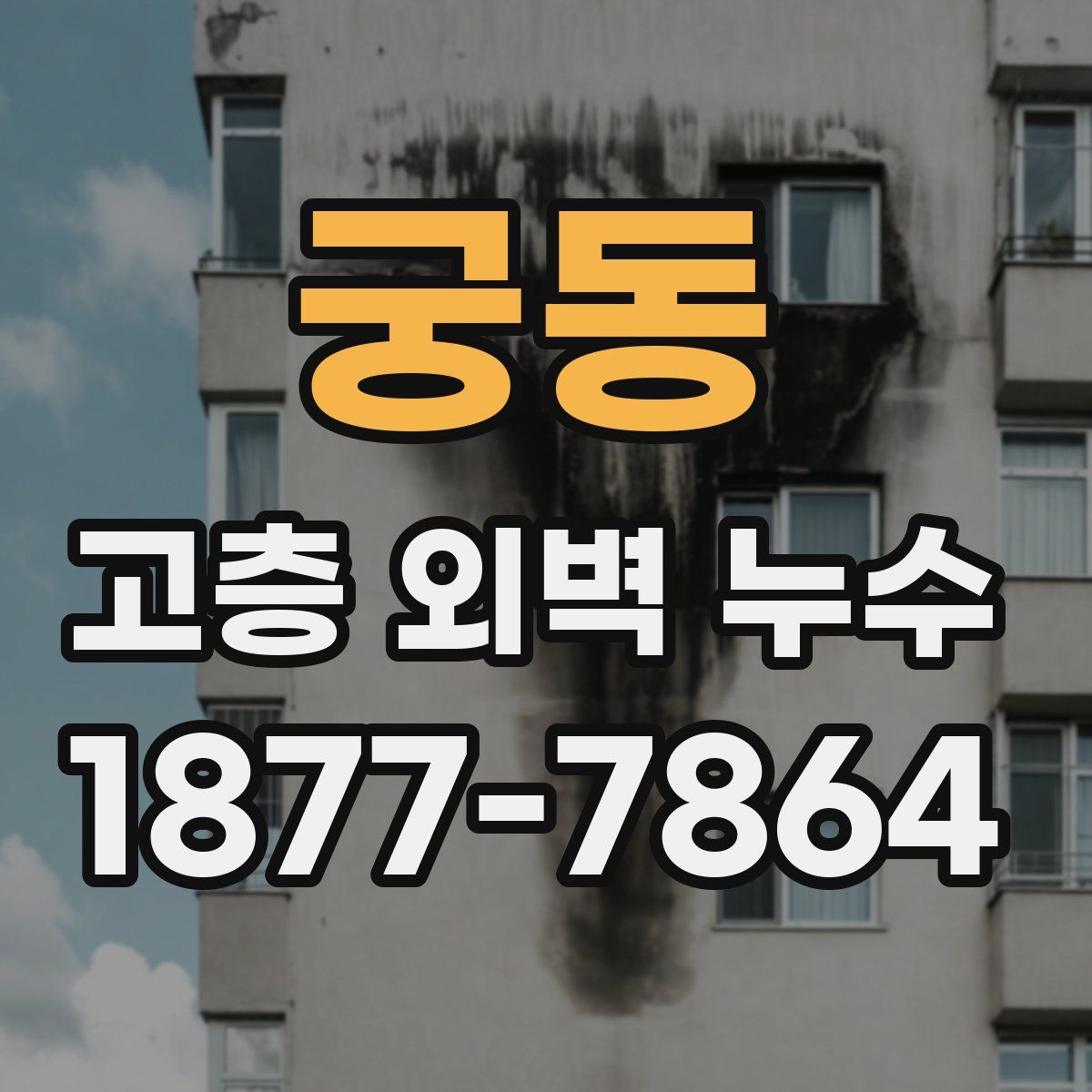 궁동 고층 외벽 누수