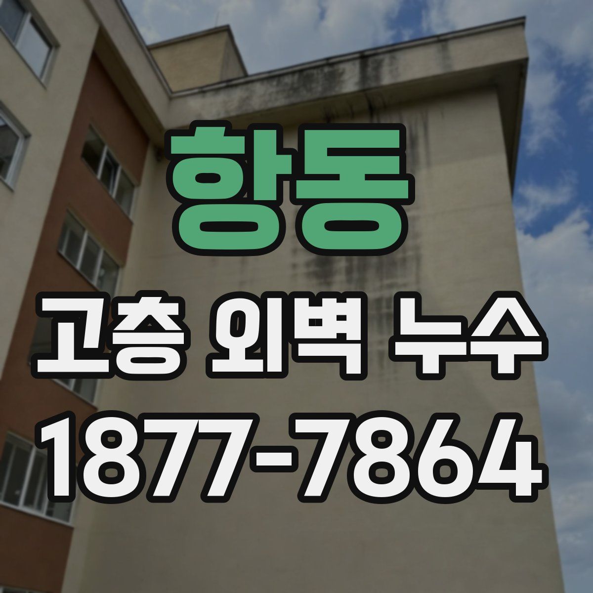 항동 고층 외벽 누수