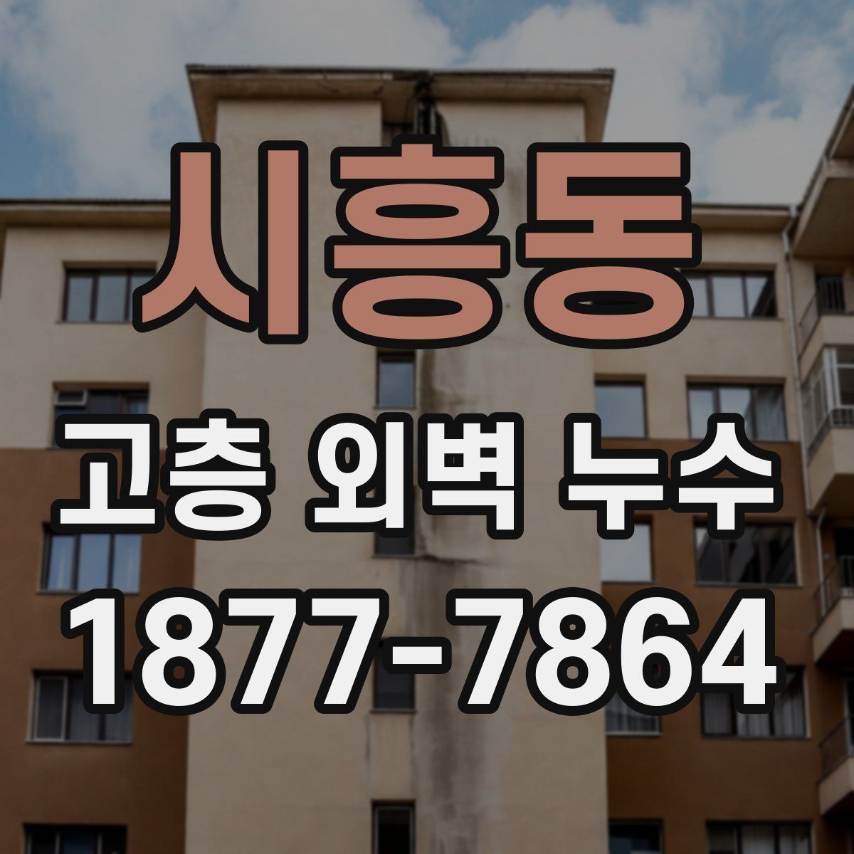 시흥동 고층 외벽 누수