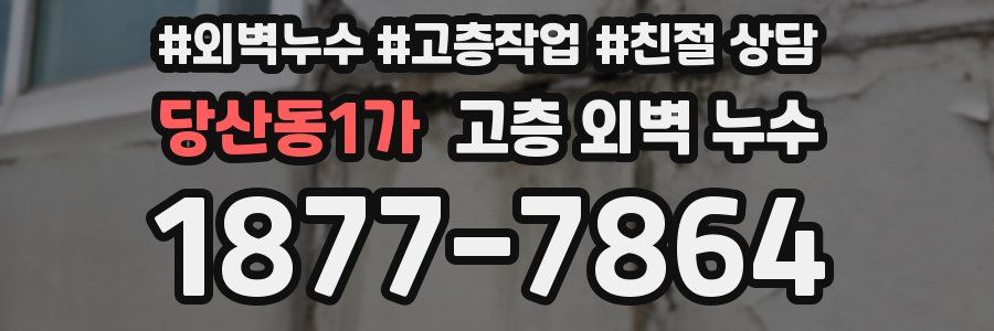 당산동1가 고층 외벽 누수
