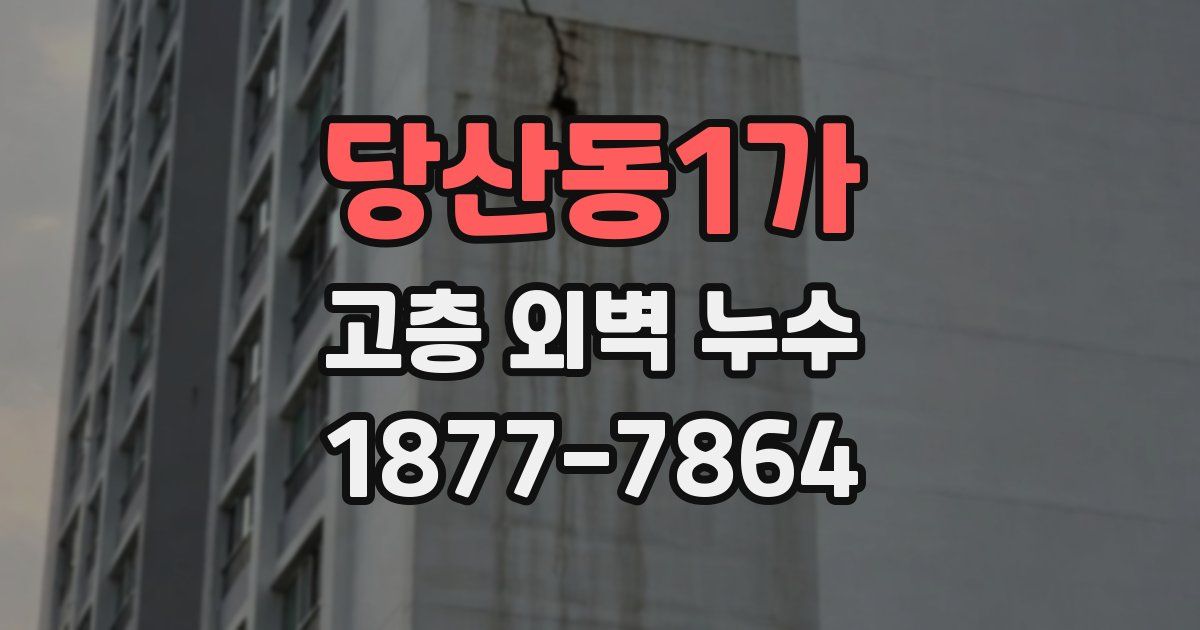 당산동1가 고층 외벽 누수