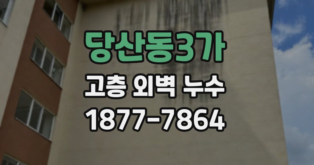 당산동3가 고층 외벽 누수
