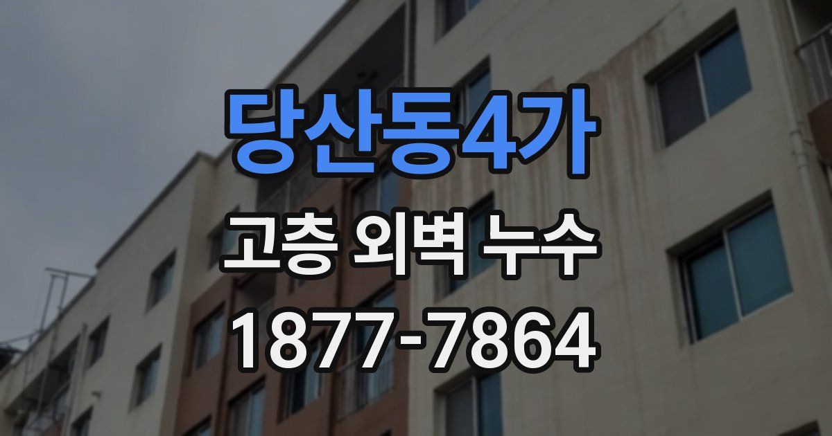 당산동4가 고층 외벽 누수