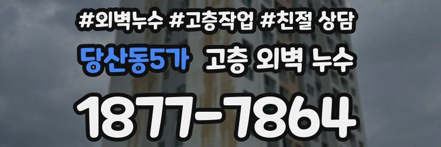 당산동5가 고층 외벽 누수