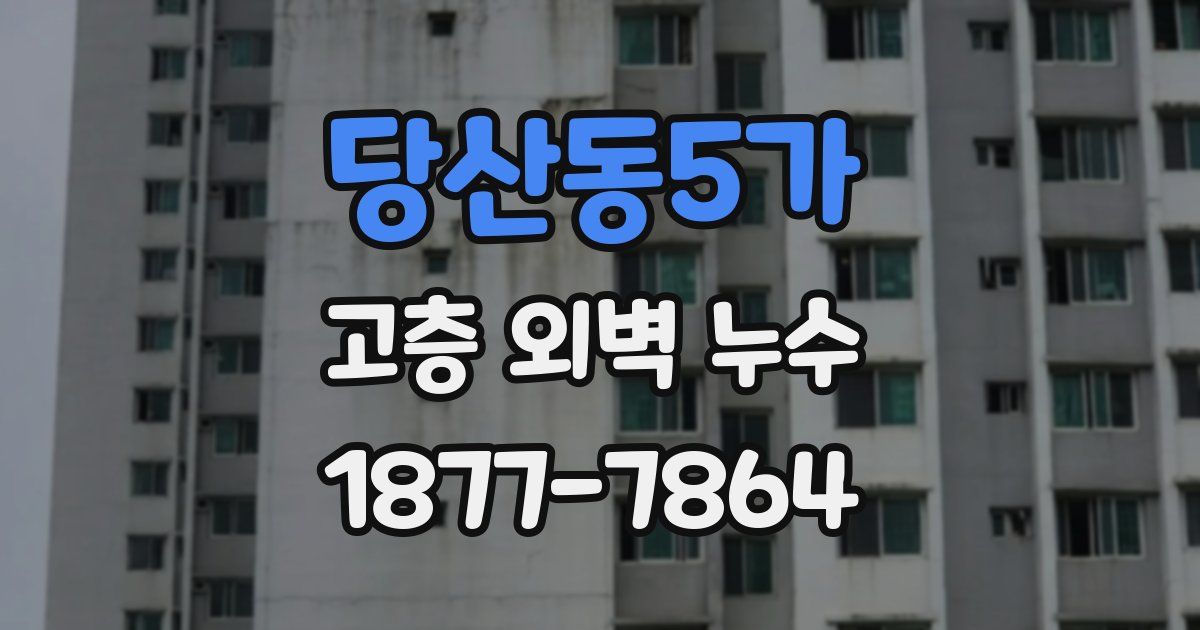 당산동5가 고층 외벽 누수