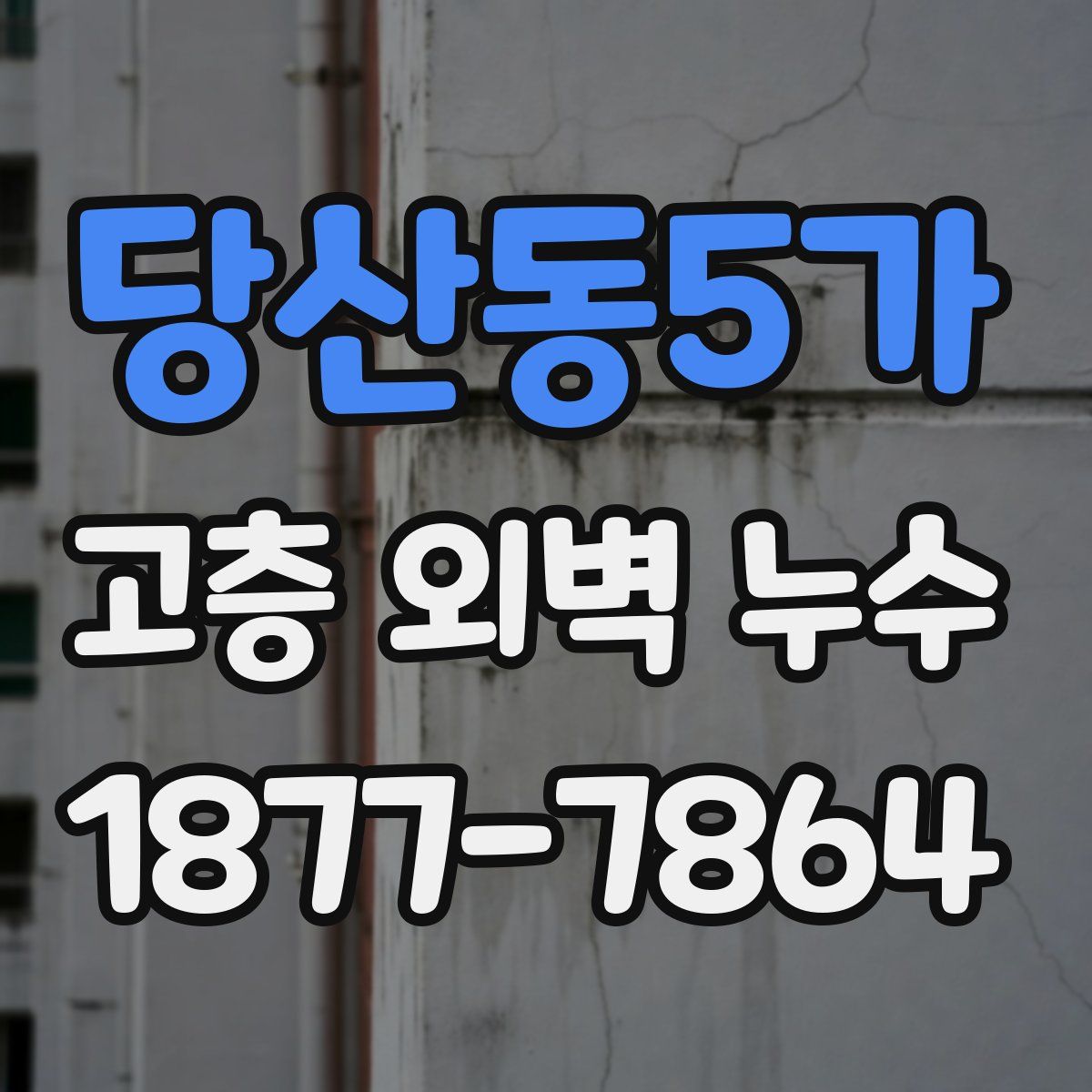 당산동5가 고층 외벽 누수