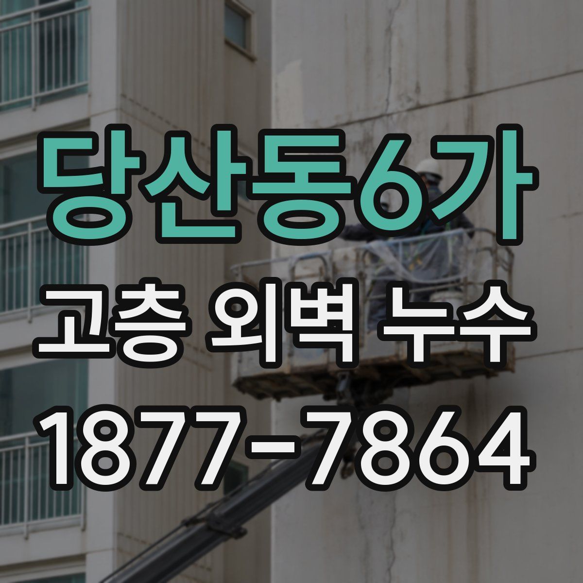 당산동6가 고층 외벽 누수