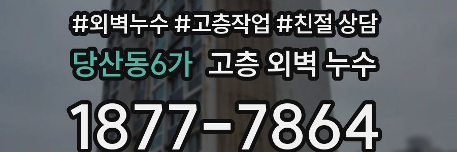 당산동6가 고층 외벽 누수