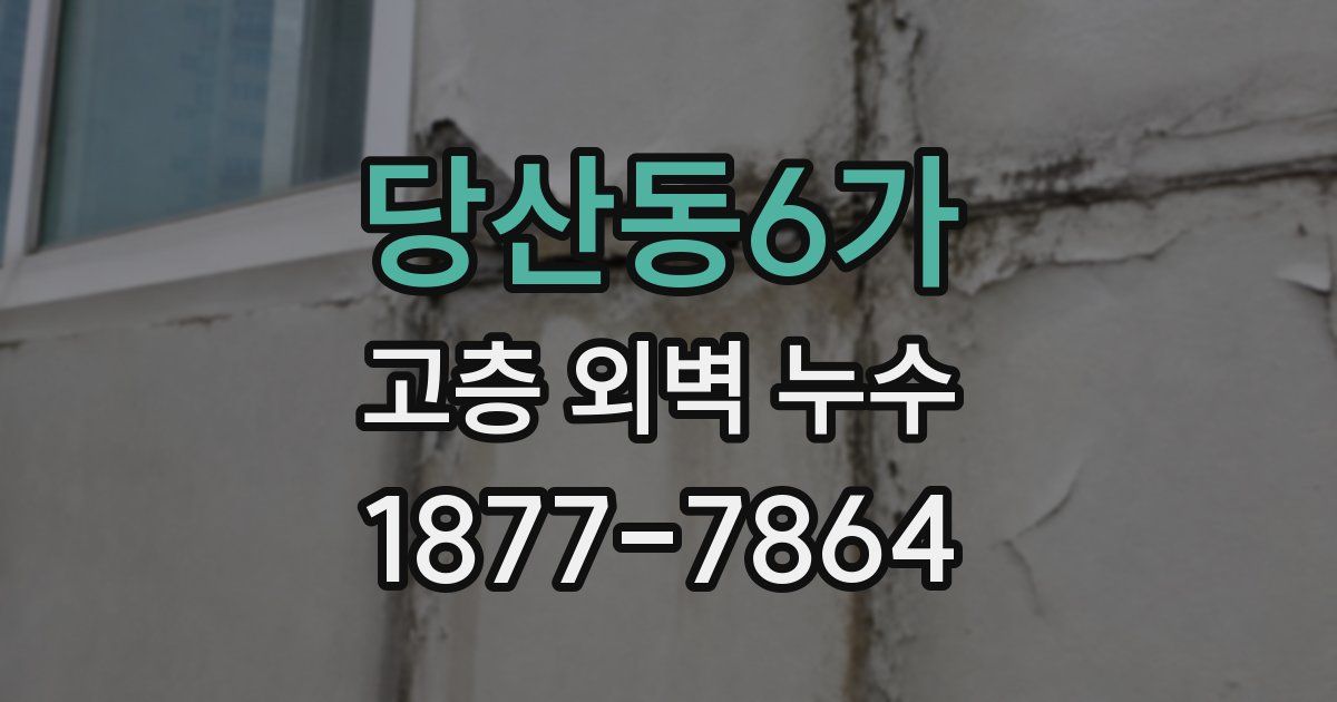 당산동6가 고층 외벽 누수
