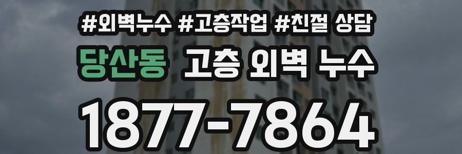 당산동 고층 외벽 누수