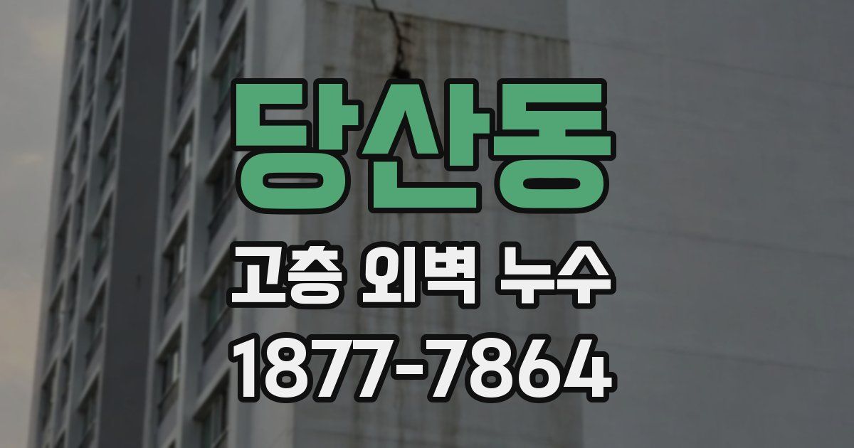 당산동 고층 외벽 누수