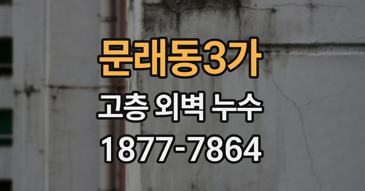 문래동3가 고층 외벽 누수