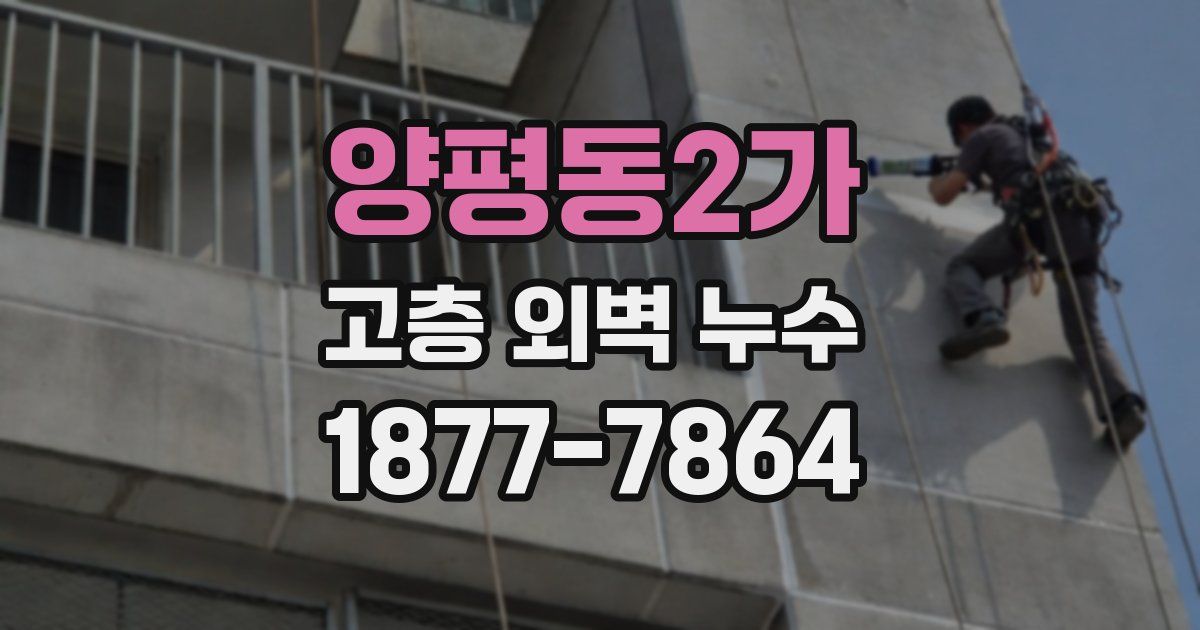 양평동2가 고층 외벽 누수
