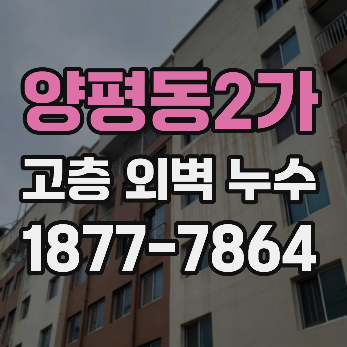 양평동2가 고층 외벽 누수