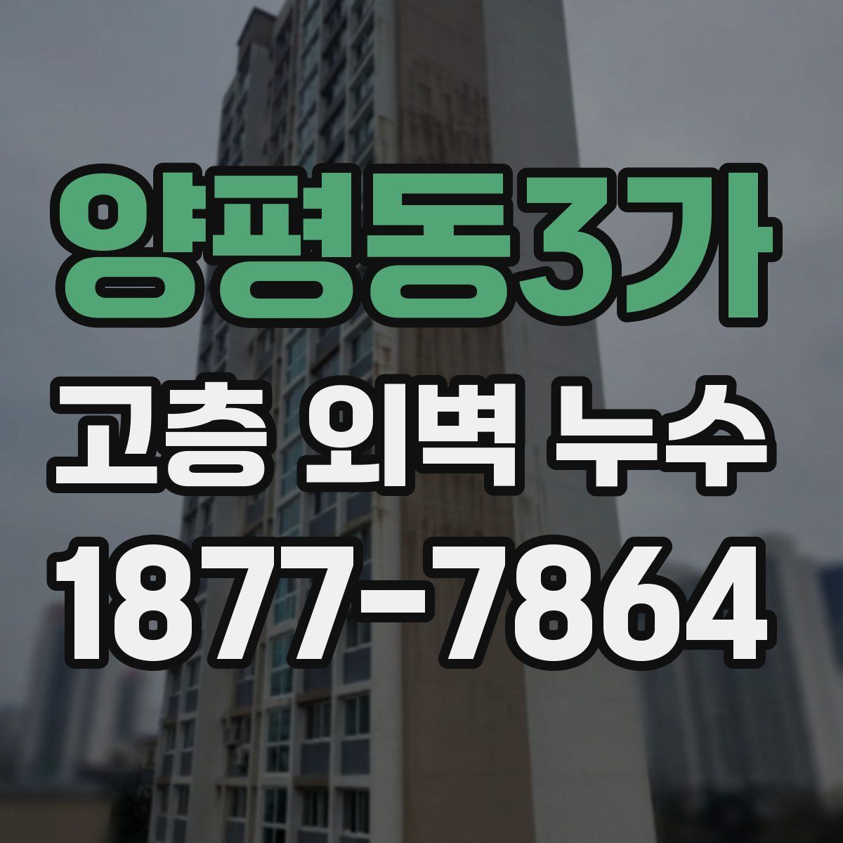 양평동3가 고층 외벽 누수
