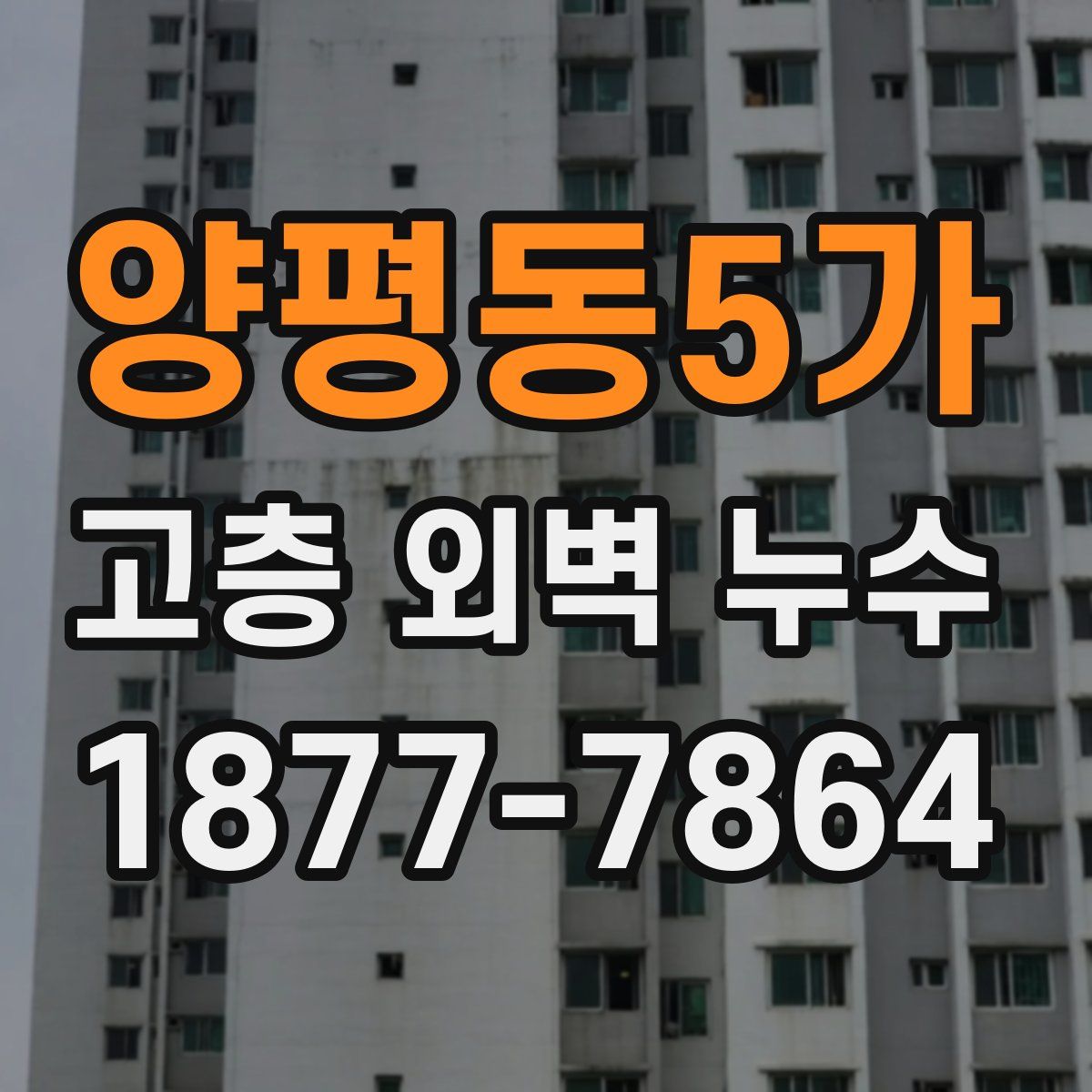 양평동5가 고층 외벽 누수