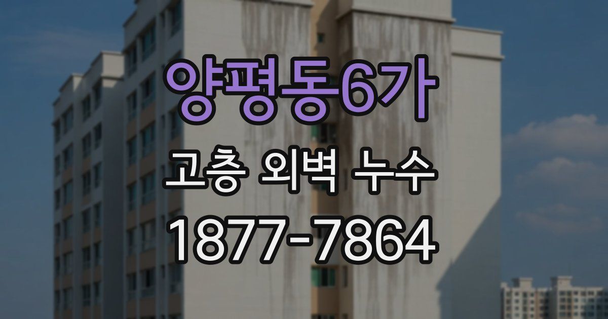 양평동6가 고층 외벽 누수