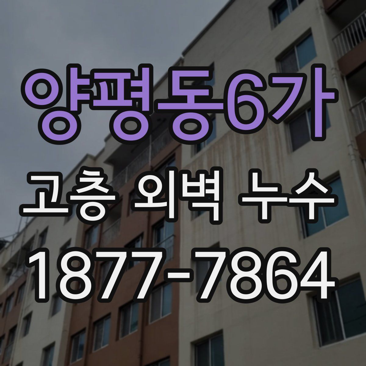양평동6가 고층 외벽 누수