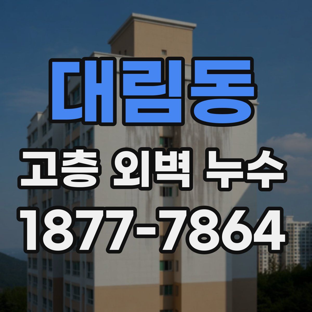 대림동 고층 외벽 누수