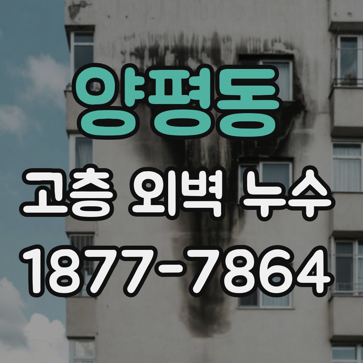 양평동 고층 외벽 누수