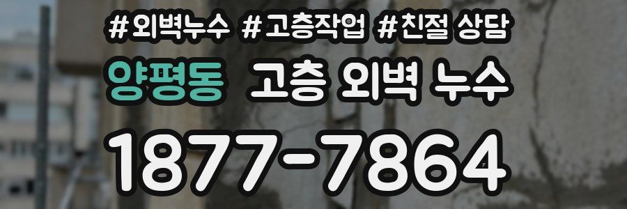 양평동 고층 외벽 누수