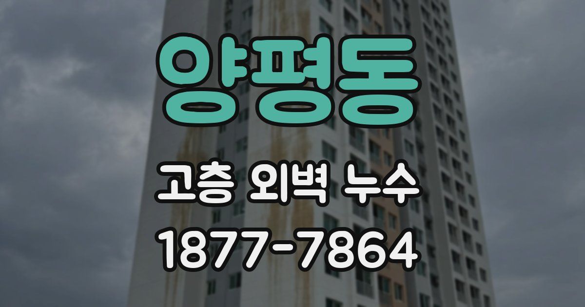 양평동 고층 외벽 누수