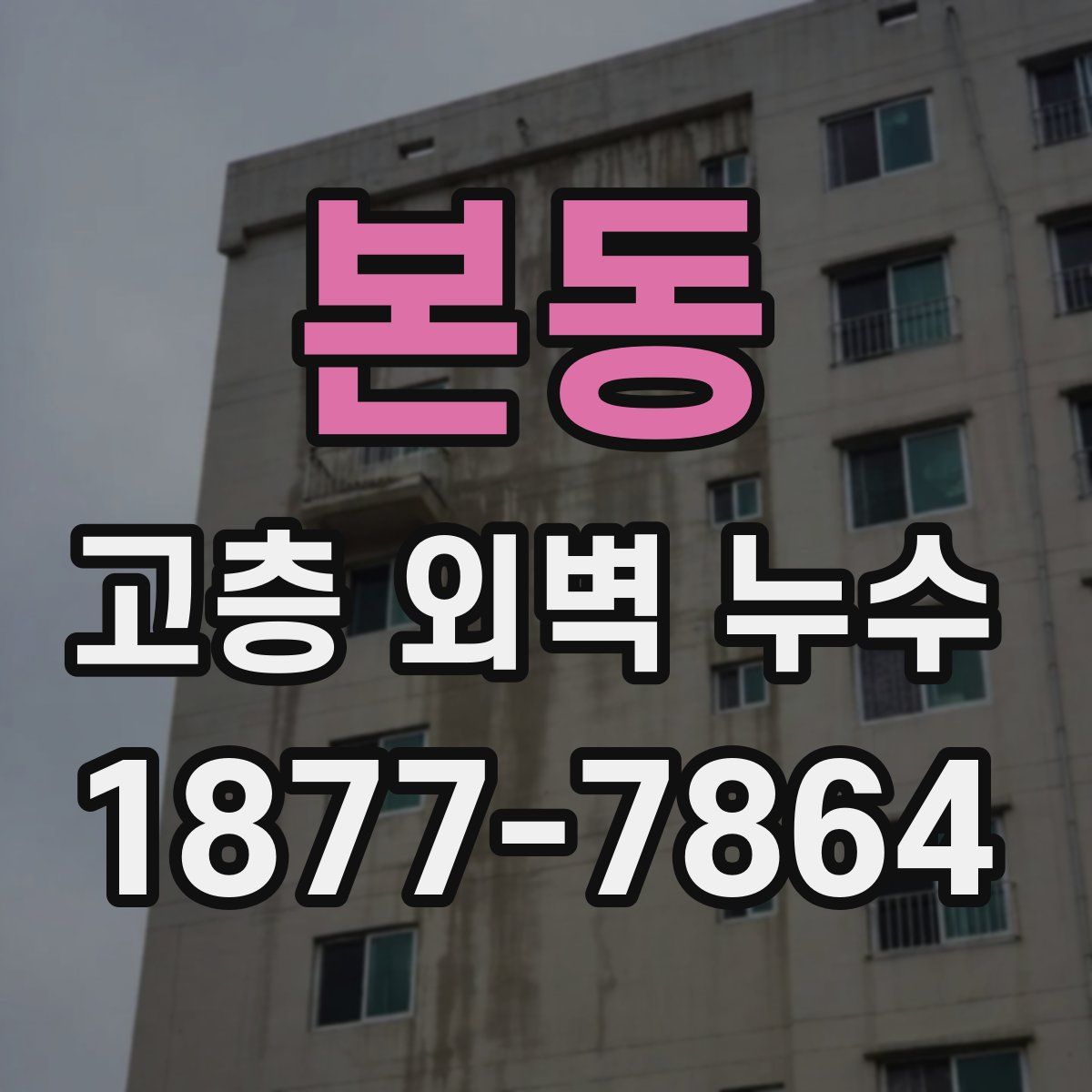 본동 고층 외벽 누수