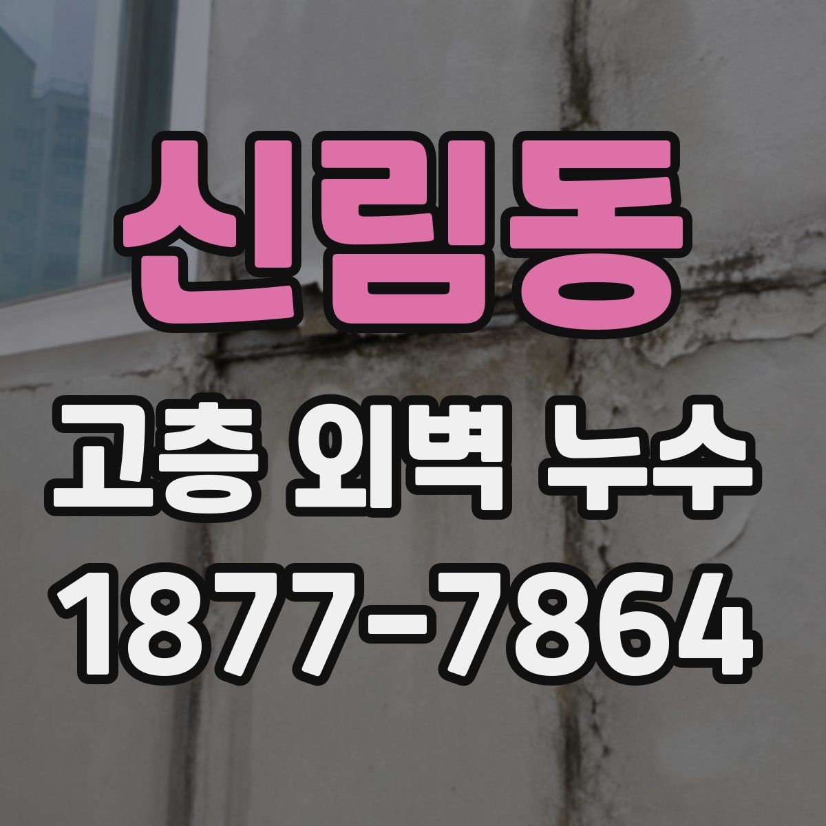 신림동 고층 외벽 누수