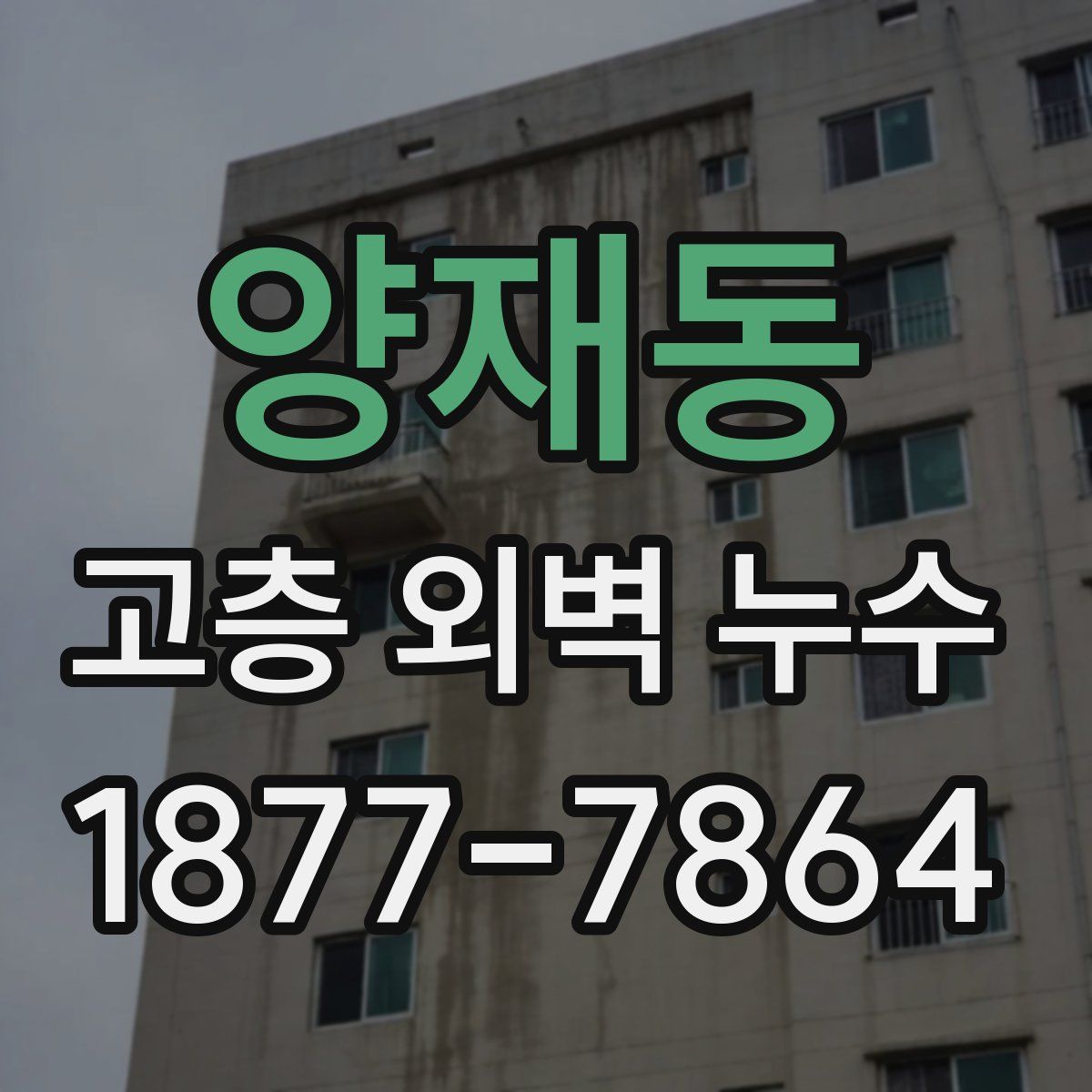 양재동 고층 외벽 누수