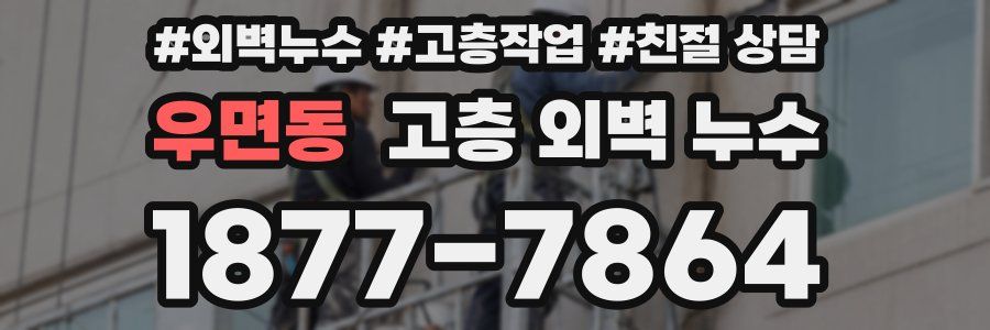 우면동 고층 외벽 누수