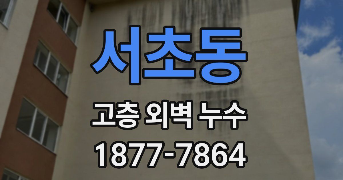 서초동 고층 외벽 누수