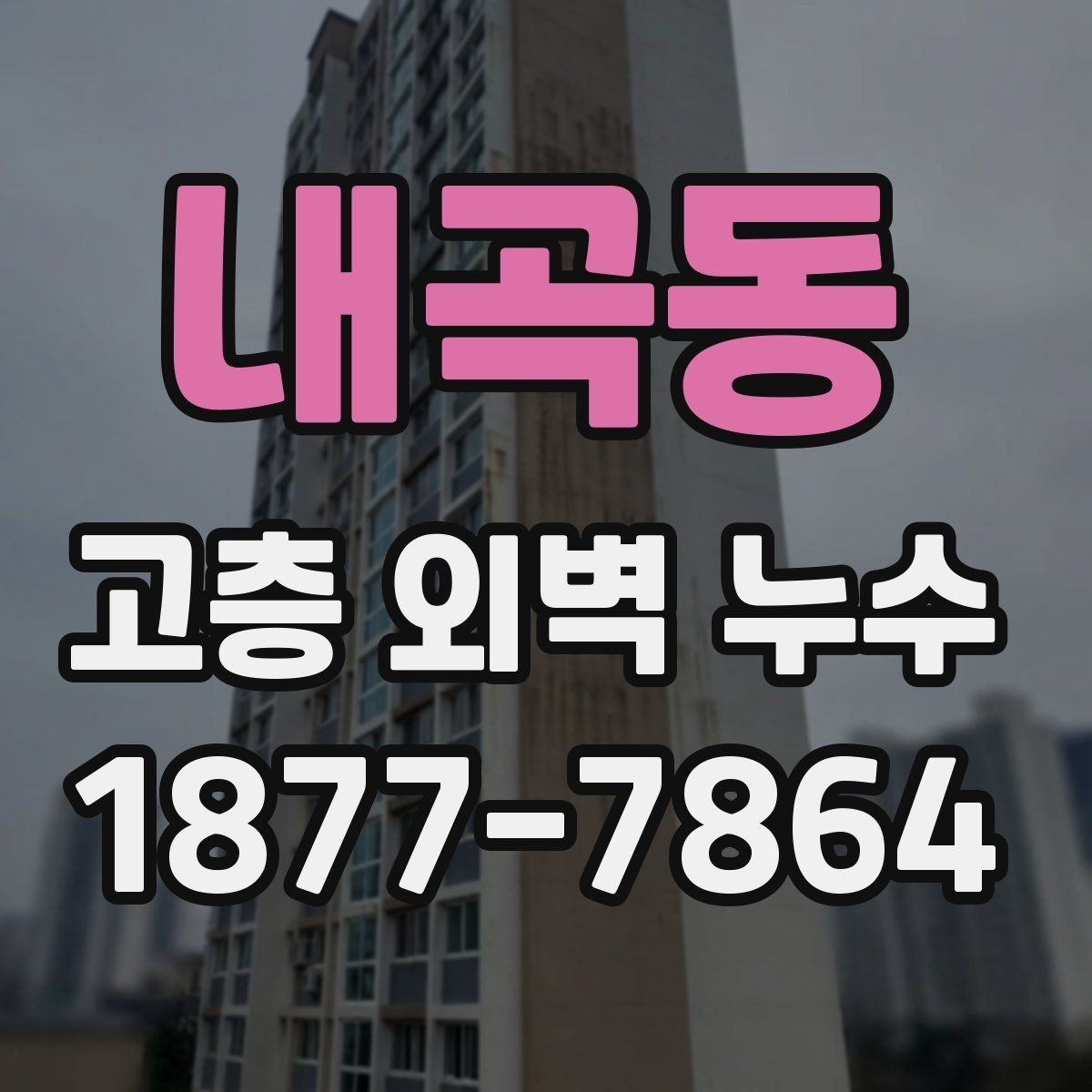 내곡동 고층 외벽 누수 보수 재료 선택 시 체크할 사항