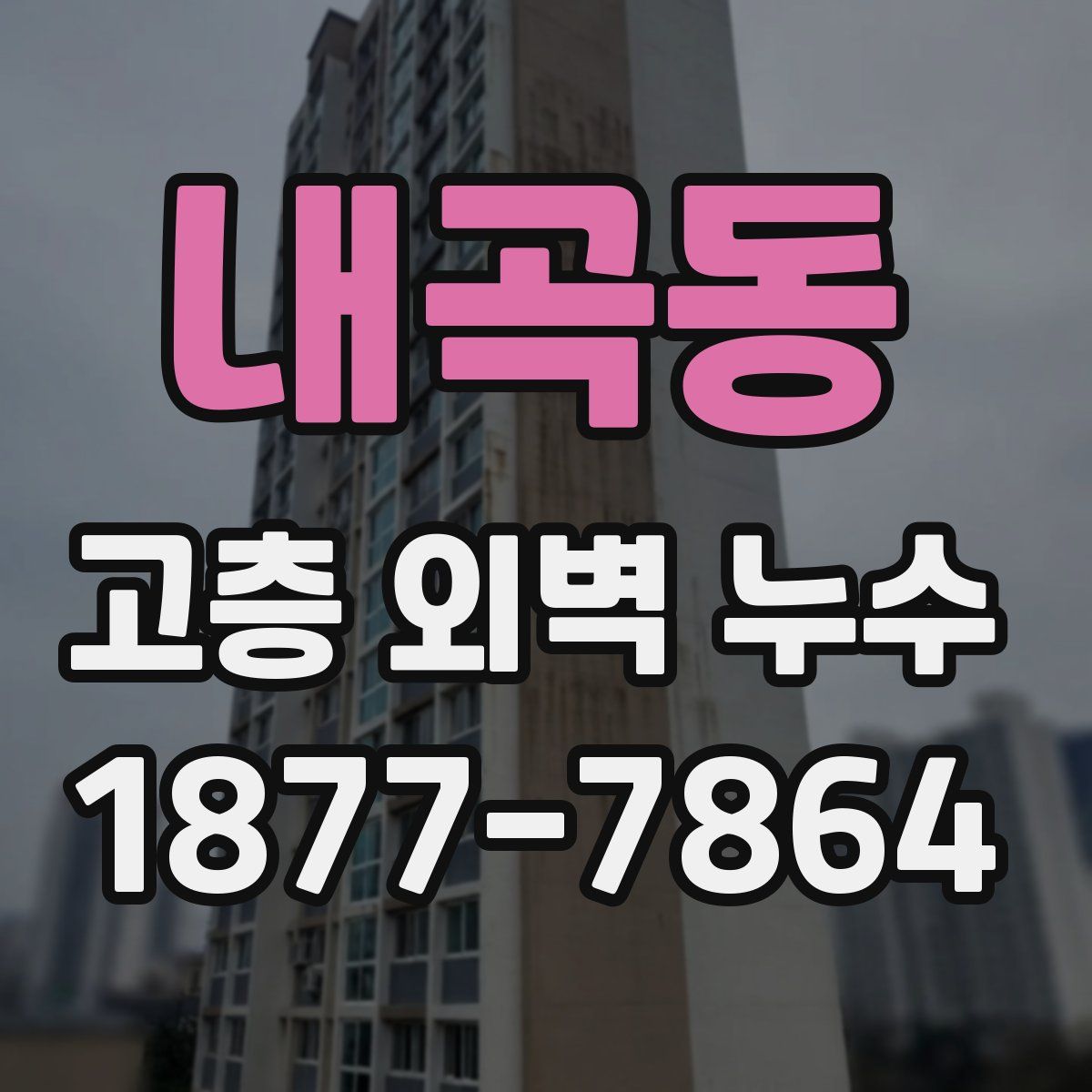 내곡동 고층 외벽 누수