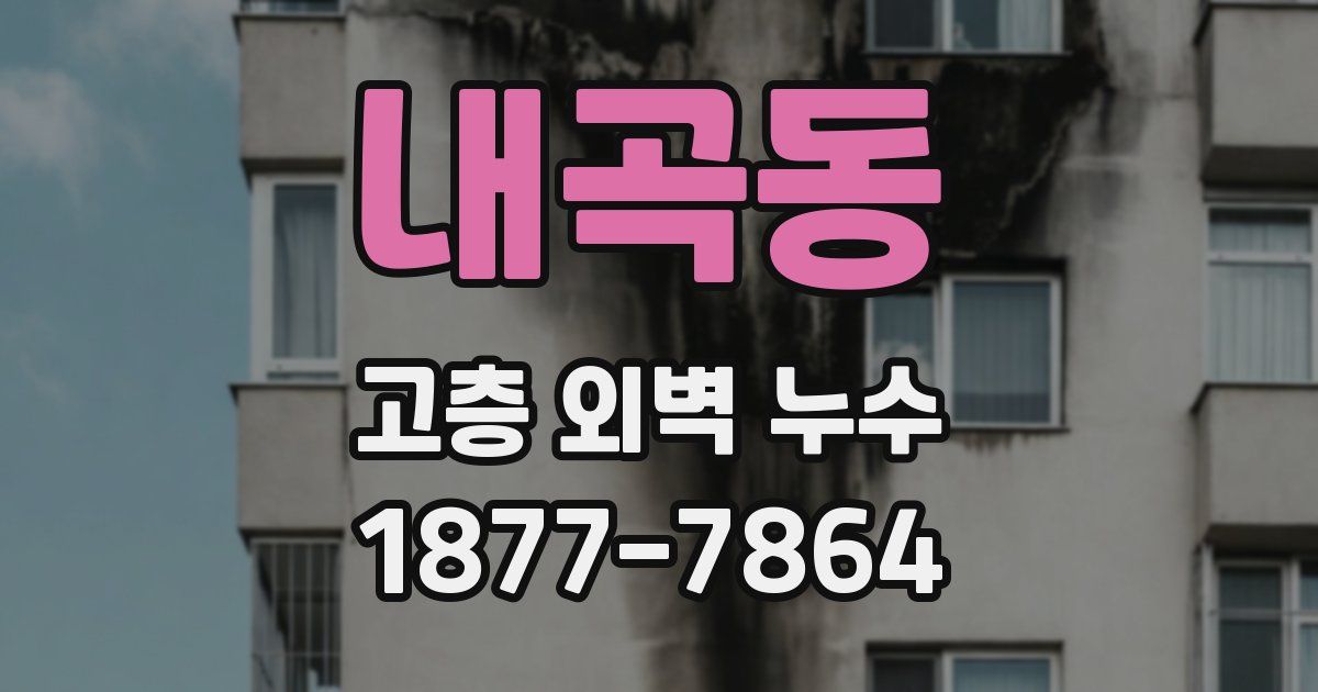 내곡동 고층 외벽 누수
