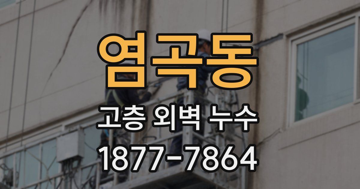 염곡동 고층 외벽 누수