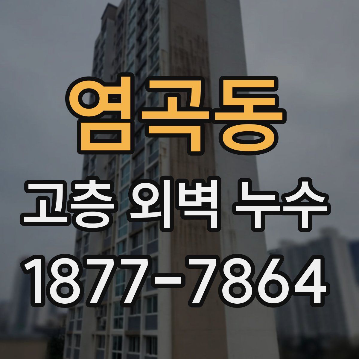 염곡동 고층 외벽 누수